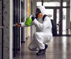 Best Forensic Mold Investigation  in Millcreek, UT